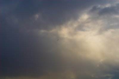 g3/87/782887/3/94689991.OzevXKgT.jpg
