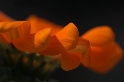 g3/87/789687/3/96550554.Thbpa87V.jpg