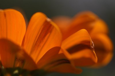 g3/87/789687/3/96567575.CGD7dXJY.jpg