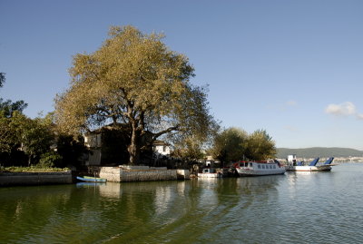 Nisaki Island