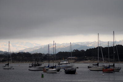 Monterey