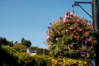 Sausalito