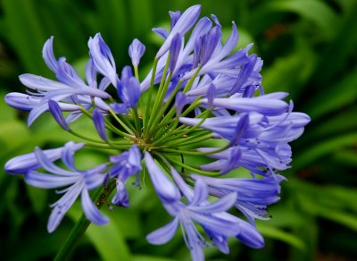 g3/87/801087/3/124547801.sM8c1njr.jpg