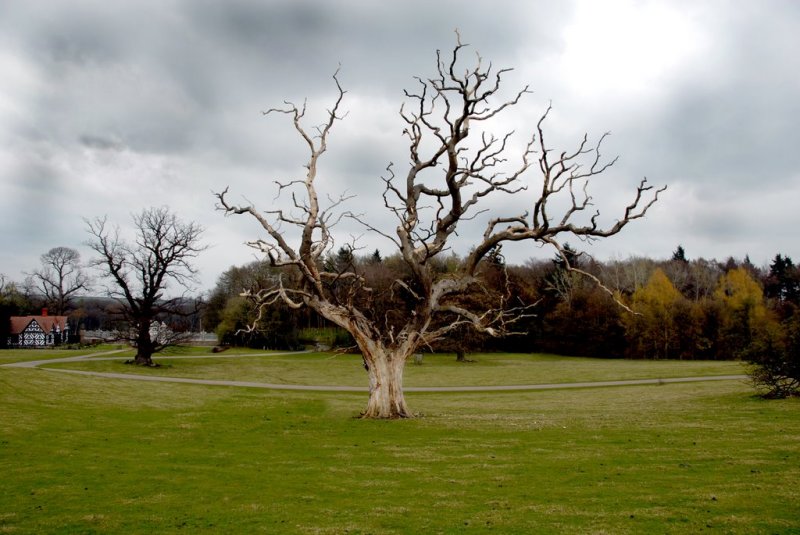 Chirk castle