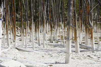 Geological wonders of Yellowstone