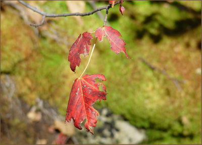 g3/87/808087/3/88073776.W43sI0Hh.jpg