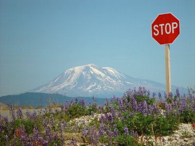 Mt Adams