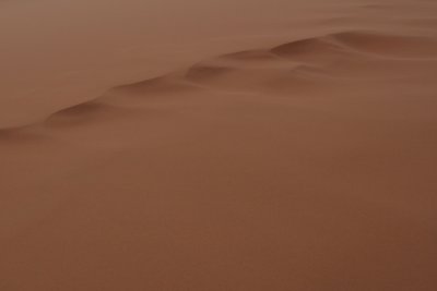 Sahara4.jpg