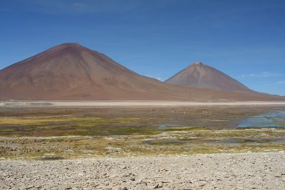 Laguna Blanca and Licancabur Volcano