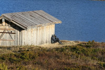 Norway2010 928.jpg