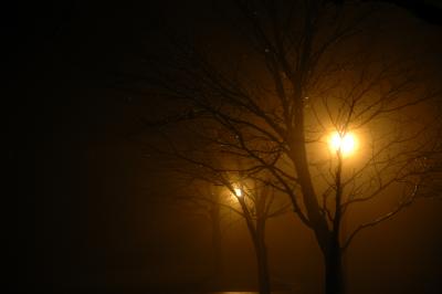 DSCN 034.jpg