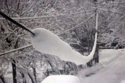 SnowyWire.jpg