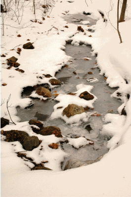 FrozenStream.gif