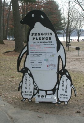 2010 Farmington Valley Penguin Plunge