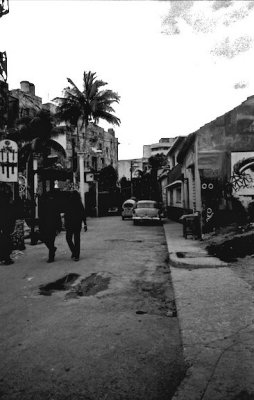 Havana Oli-10.jpg