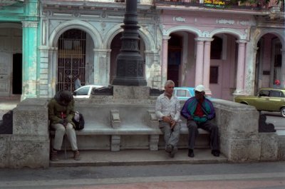 Havana Oli-12 (1).jpg