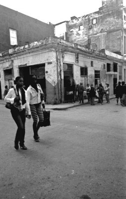 Havana Oli-12.jpg