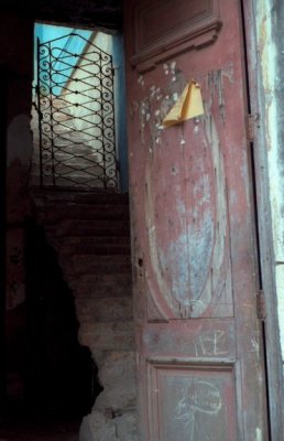 Havana Oli-13 (1).jpg