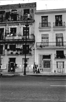 Havana Oli-7.jpg