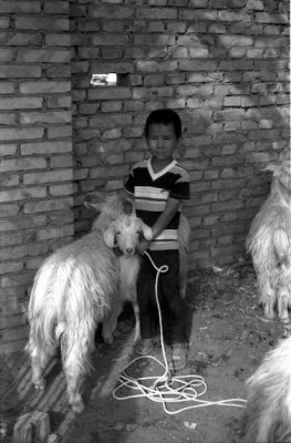 Scanned Image-14.jpg
