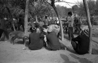 Scanned Image-15.jpg