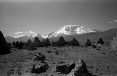 Scanned Image-20.jpg