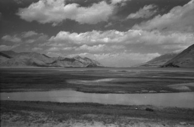 Scanned Image-22.jpg
