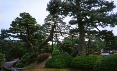 Untitled-17 (1).jpg