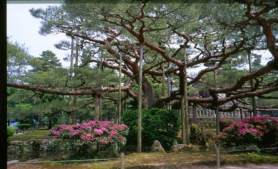 Untitled-19 (1).jpg