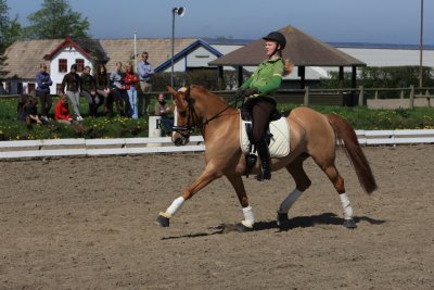 TRAINING FEI-KR with the NATIONAL COACH in Aalborg (SAO)