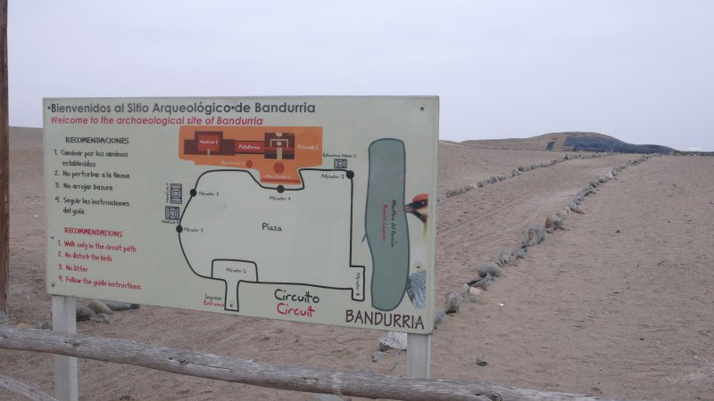 Bandurria