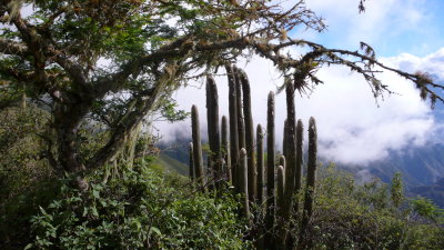 On the trail to Mendan