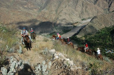 Horsetrail between Mendan and Cocabamba