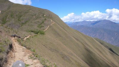 Horsetrail between Mendan and Cocabamba