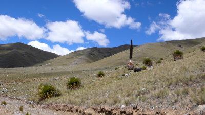 Puya Raimondii