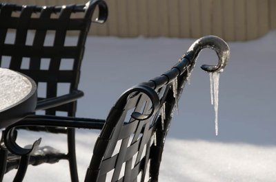 20090121_100458DSC_6967.jpg