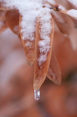 20091222-_DSC8161-Edit.jpg