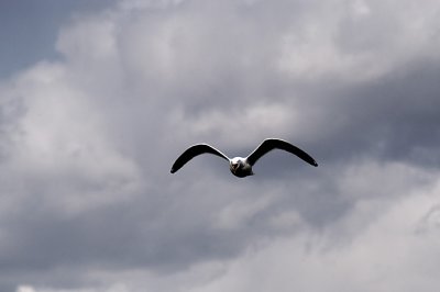 2008-04-25.jpg