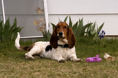 2008-04-29.jpg