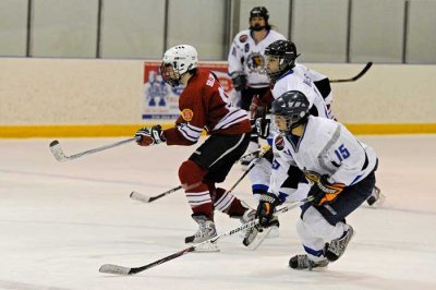 _D3S0845.jpg