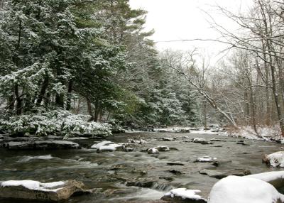 Winter_2.jpg