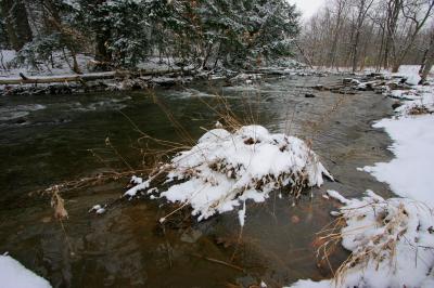 Winter_07.JPG