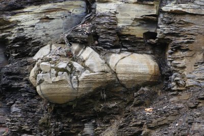 Rock Face.jpg