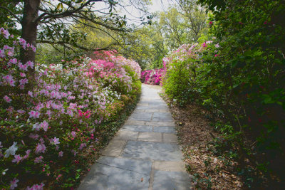 Garden Path.jpg