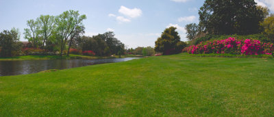 Garden Panorama3.jpg