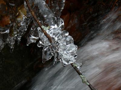 g3/88/473688/3/55187493.icystick.jpg