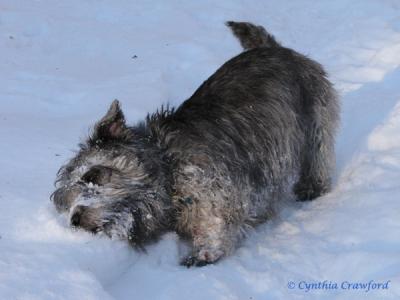 Snow bath