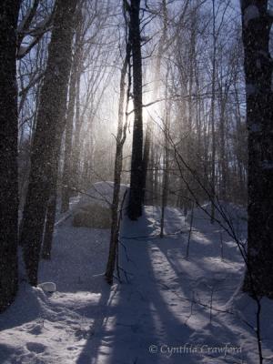 Snowblow-backlit