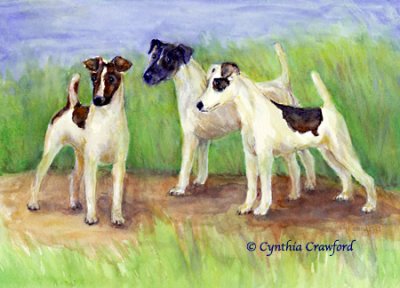 Three Smooth Fox Terriers