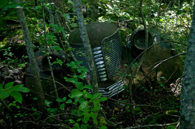 BF5T0527.jpg